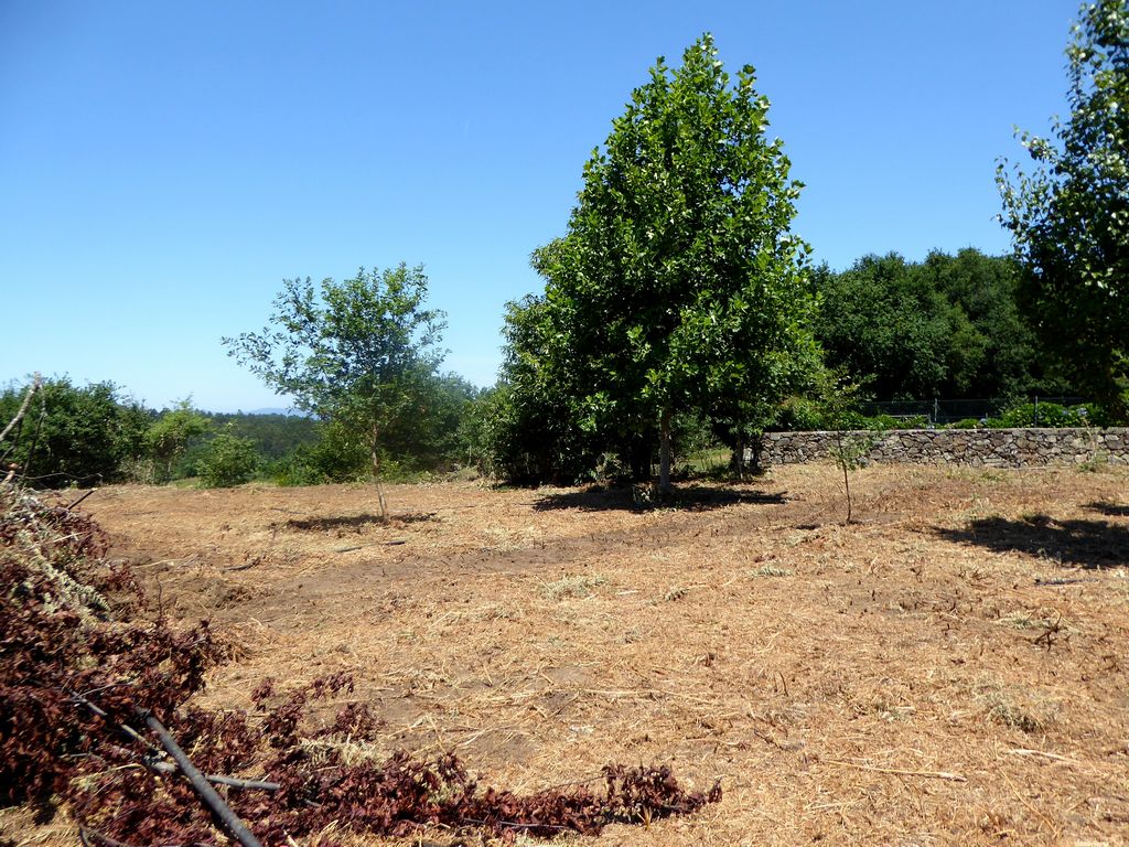 Land plot for house construction